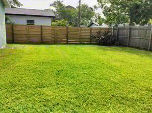 Teri R.'s grass maintenance service result