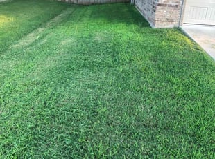 Brittany C.'s turf care service result