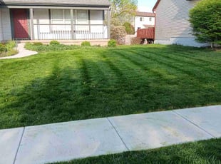 Amy N.'s lawn care services service result