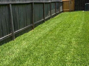 Rebecca H.'s lawn care service result