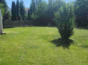 Gordon L.'s lawn care services service result