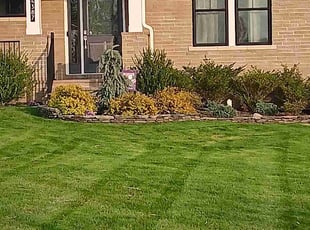 Janely G.'s lawn service service result