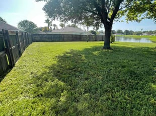 Irene B.'s Long Grass Cleanup service result