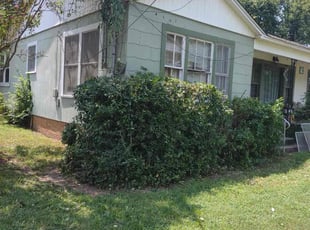 Debbie S.'s Bush Trimming service result