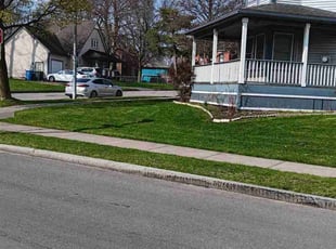 William A.'s grass cutting service result