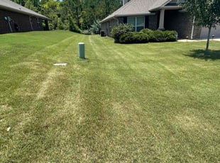 Mackie M.'s turf maintenance service result