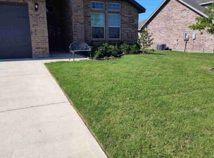 Stephen T.'s turf maintenance service result
