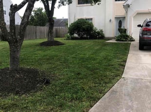 Carol O.'s turf maintenance service result