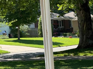 Chris C.'s turf care service result