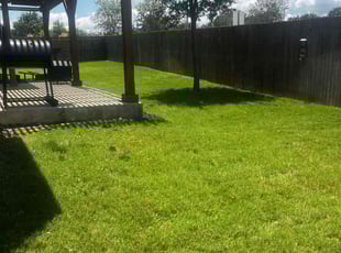 Maria T.'s lawn maintenance service result