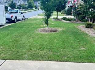 Seth K.'s lawn care services service result