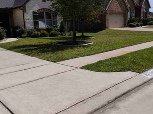 Linda S.'s grass maintenance service result