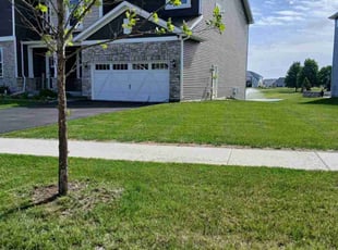 Beatrice D.'s yard service service result