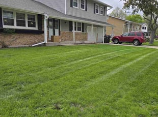 Kayla T.'s lawn service service result