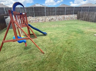 Carmen G.'s lawn service service result