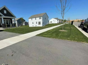 Adam M.'s grass cutting service result