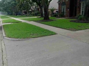Nathaniel B.'s turf maintenance service result