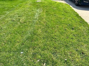 Lesley K.'s lawn care services service result