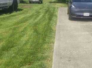 Andrea R.'s grass cutting service result
