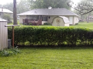 Jeff S.'s Bush Trimming service result