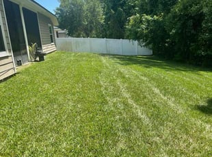 Lee H.'s lawn care service result