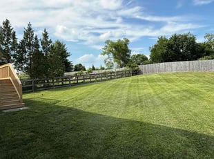 Karim L.'s lawn maintenance service result