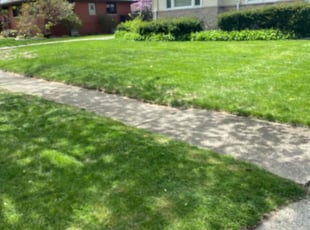 Terry R.'s turf maintenance service result