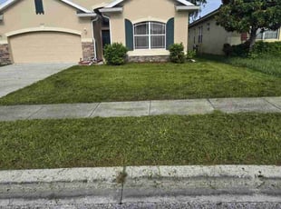 Rich S.'s turf care service result