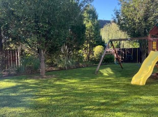 Rafay M.'s lawn care services service result