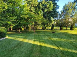 Andreas A.'s turf care service result