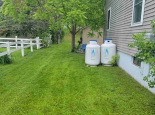 Bruce K.'s grass maintenance service result