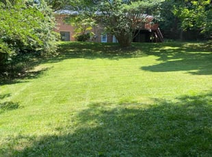 Chris P.'s grass cutting service result