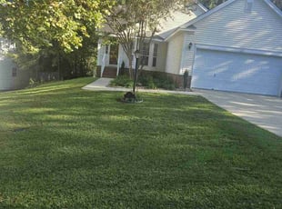 Esere N.'s turf care service result