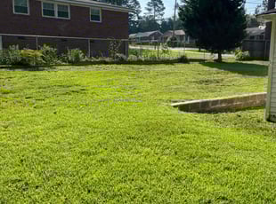 Dawn B.'s lawn service service result