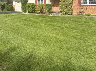 Tiffany P.'s lawn care services service result