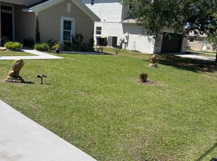Chris J.'s lawn care service result