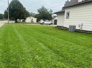 Lee S.'s lawn care service result