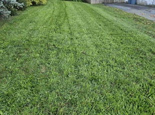 Justin N.'s lawn care service result