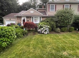 Amyo K.'s lawn care service result
