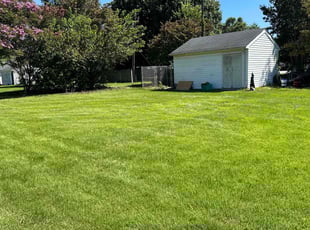 Bryan a.'s lawn care services service result