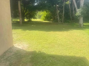 Kevin K.'s lawn care services service result