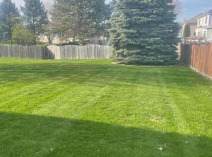 Eva N.'s grass cutting service result