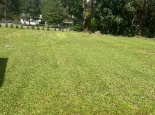 Patrick P.'s grass maintenance service result