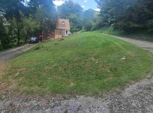 Brynn S.'s grass maintenance service result