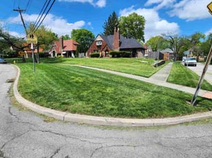 Robert M.'s grass maintenance service result