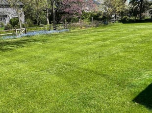 Jeffrey J.'s lawn maintenance service result