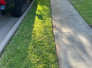 Shawnee H.'s lawn care service result