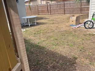 Leigh A.'s grass cutting service result