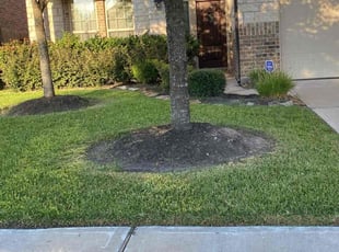 Hooman A.'s lawn care service result