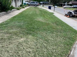 Nancy P.'s Long Grass Cleanup service result